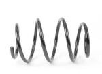 31332283131 - Suspension: Coil Spring for BMW Image