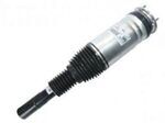 LR087091 - Suspension: Strut Assembly for Land-Rover Image