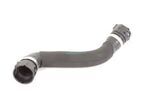 11537836569 - Cooling System: Lower Hose for BMW: M5, M6 Image