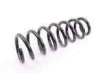 31336778114 - Suspension: Coil Spring for BMW Image