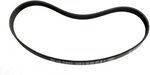 11287618848 - Cooling System: Serpentine Belt for BMW: 228i, 228i xDrive, 320i, 320i xDrive, 328i, 328i GT xDrive, 328i xDrive, 428i, 428i Gran Coupe, 428i xDrive, 428i xDrive Gran Coupe, 528i, 528i xDrive, M2, X1, X3, X4, Z4 Image