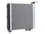 T4A50609 - : Radiator for Jaguar Image