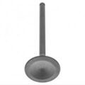 AJ810106 - Engine: Exhaust Valve for Jaguar: S-Type, X-Type Image