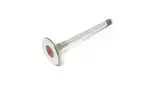 11341710788 - Engine: Exhaust Valve for BMW: 325, 325e, 325es, 325i, 325is, 524td, 528e, 533i, 535i, 535is, 633CSi, 635CSi, 733i, 735i, 735iL Image