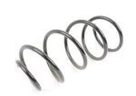 31336769915 - Suspension: Coil Spring for BMW Image