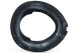31331096664 - Suspension: Spring Insulator for BMW: 323Ci, 323i, 325Ci, 325i, 325xi, 328Ci, 328i, 330Ci, 330i, 330xi, 525i, 528i, 530i, 535i, 535i GT, 540i, 545i, 550i, 645Ci, 650i, M3, M5, M6, Z4 Image