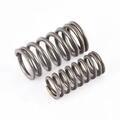 11317830890 - Engine: Valve Springs for BMW: M3, Z3, Z4 Image