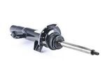 37116797899 - Suspension: Suspension Strut for BMW: M235i Image