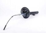 31311091558 - Suspension: Strut for BMW: 740i, 740iL, 750iL Image