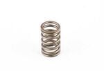 11341714768 - Engine: Valve Springs for BMW: 535i, 535is, 635CSi, 735i, 735iL, M5, M6 Image