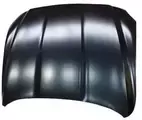 T4A13702 - : Hood for Jaguar Image