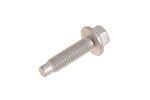 RYG500220 - Electrical: Camshaft Sensor Screw for Land-Rover Image