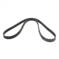 11289455973 - Cooling System: Serpentine Belt for BMW Image
