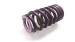 11347563459 - Engine: Valve Springs for BMW: 1 Series M, 135i, 335d, 335i, 335i xDrive, 335is, 335xi, 528i, 528i xDrive, 535i, 535i GT, 535i xDrive, 535xi, 740i, 740Li, X6, Z4 Image