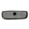 T4N10516 - : Grille - Chrome for Jaguar Image