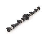 11377541883 - Engine: Engine Camshaft for BMW: 545i, 550i, 645Ci, 650i, 745i, 745Li, 750i, 750Li, Alpina B7, X5 Image