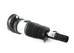 37106869031 - : Suspension Strut for BMW Image