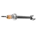 XR851786 - Suspension: Shock Absorber for Jaguar: S-Type Image