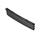 51117385258 - Body: Lower Grille for BMW Image