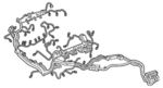 PAB971595H - Electrical: Engine Harness for Porsche Image