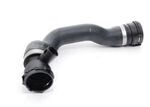 17127536231 - : Lower Hose for BMW Image