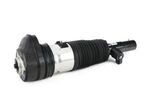 37106869032 - : Suspension Strut for BMW Image
