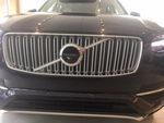 32365366 - : Grille for Volvo: XC90 Image