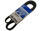 12593774 - Cooling System: Serpentine Belt for GM Image