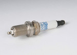 19305821 - : Spark Plug for Saturn: LW300 Image