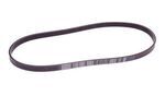 1172024U01 - : Fan Alternator Drive Belt R32 for Nismo Image