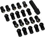 40220RN810 - : Lug Set (20)-7 Sided With Logo LMGT4 for Nismo Image