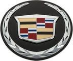 22984656 - Body: Emblem for GM Image