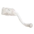 23236711 - Body: Washer Reservoir for GM Image