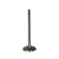 13201AA400 - Engine: Intake Valve for Subaru Image