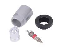 19117460 - Serviceable Components: 97-16 (TPMS) Valve Kit with Cap, Core, Grommet, Nut for GM Image