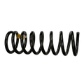22076935 - Suspension: Coil Spring for GM Image