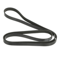 19172679 - Cooling System: Serpentine Belt for Cadillac: Allante, DeVille, Eldorado, Seville | Oldsmobile: Aurora Image