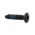 W710881S900 - Body: Striker Screw for Ford: E-150, E-250, E-350 Super Duty, Edge, Explorer, Explorer Sport Trac, F-150, F-250 Super Duty, F-350 Super Duty, F-450 Super Duty, Flex, Fusion, Ranger | Lincoln: MKT, MKX, MKZ, Zephyr | Mercury: Milan Image