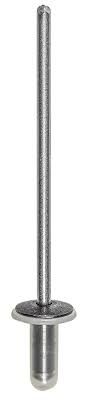 W713819S900 - : Roof Molding Rivet for Ford Image