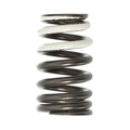 L3K912125 - Engine: Valve Springs for Mazda Image
