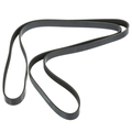12611636 - : V-Ribbed Serpentine Belt for GM Image