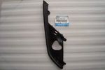 D10J50C21 - Body: Bumper Trim for Mazda Image