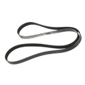 55578485 - : V-Ribbed Serpentine Belt for GM Image