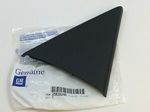 25838248 - Body: Door Trim Molding for GM Image