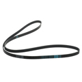 5037542AA - Electrical: Serpentine Belt for Mopar Image