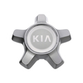 529603T300 - : Center Cap for Kia: K900 Image