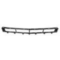 22879645 - Body: Grille for GM Image