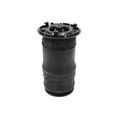 25815604 - Suspension: Coil Spring for GM Image