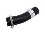 25887138 - Fuel System: Lower Hose for GM Image