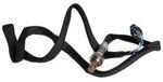 19178936 - : Heated Oxygen Sensor for GM Image